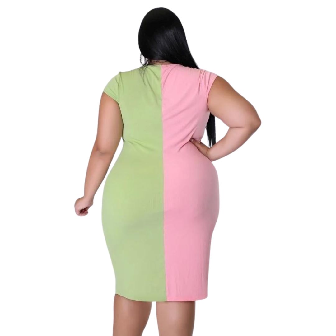 Pink and Green Zip Dress