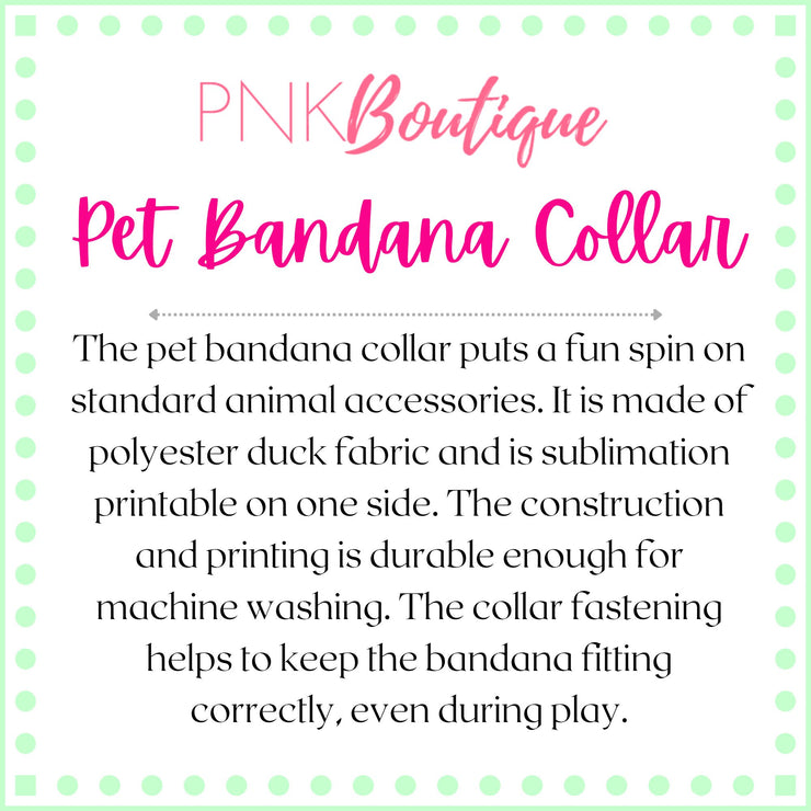 PNK Signature Pink & Green Pet Bandana Collar